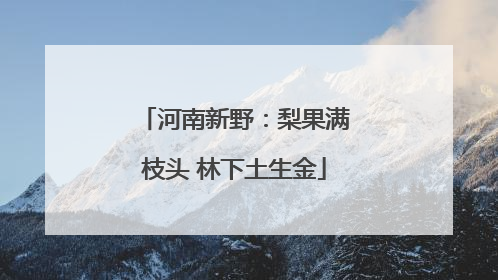 河南新野：梨果满枝头 林下土生金